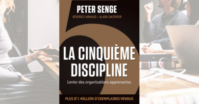 Cinquième discipline