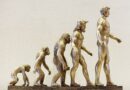 Les trois étapes de la progression d’un manager